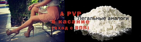 ешки Новодвинск