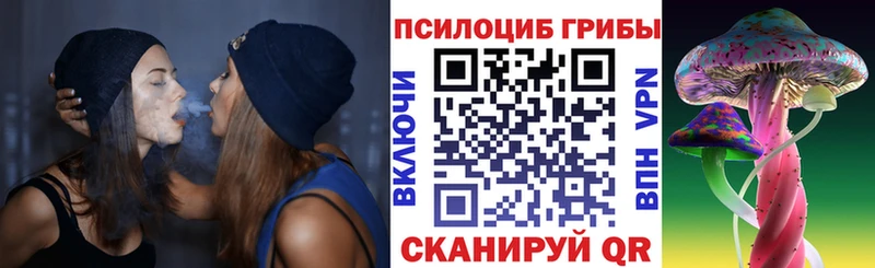 Псилоцибиновые грибы Psilocybine cubensis  Теберда 